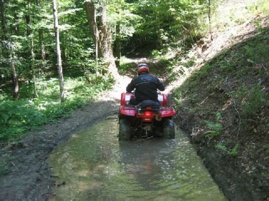 Kliknite za ogled večje slike