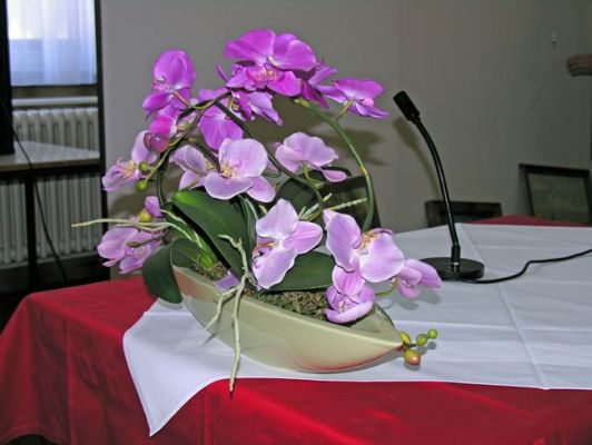 Kliknite za ogled večje slike