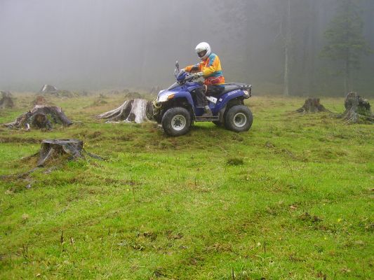 Kliknite za ogled večje slike