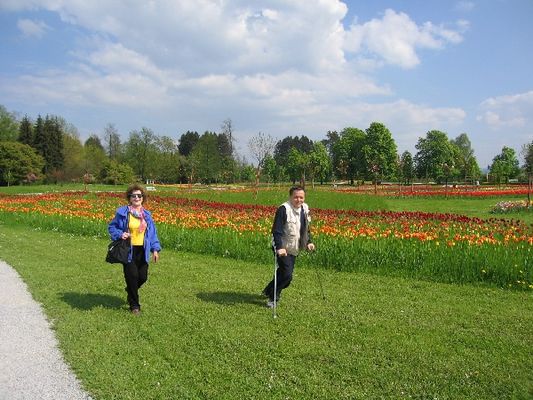 Kliknite za ogled večje slike