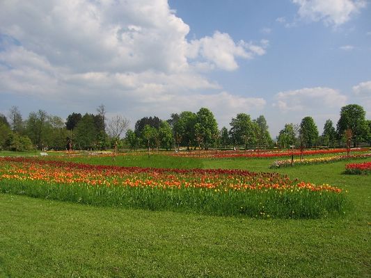 Kliknite za ogled večje slike