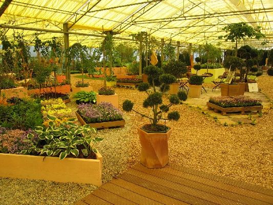 Kliknite za ogled večje slike