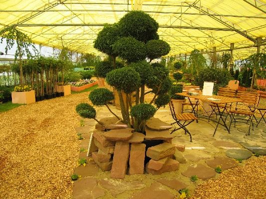 Kliknite za ogled večje slike