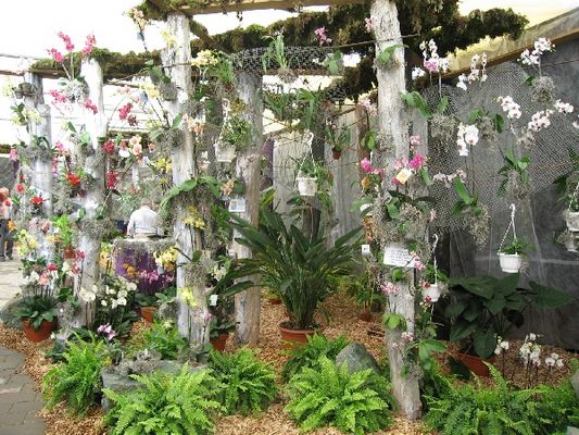 Kliknite za ogled večje slike