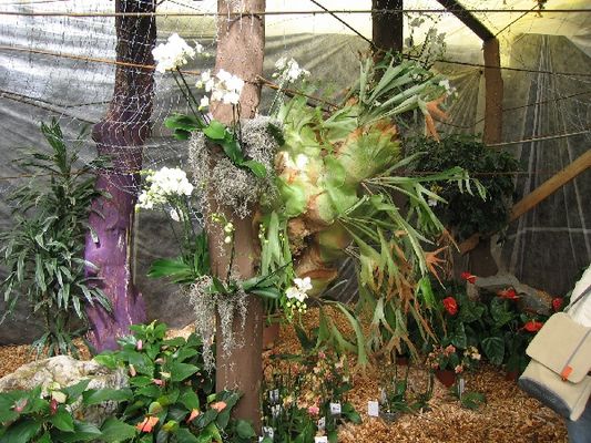 Kliknite za ogled večje slike