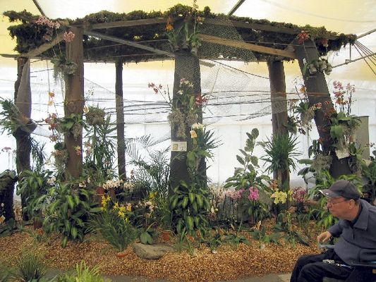 Kliknite za ogled večje slike