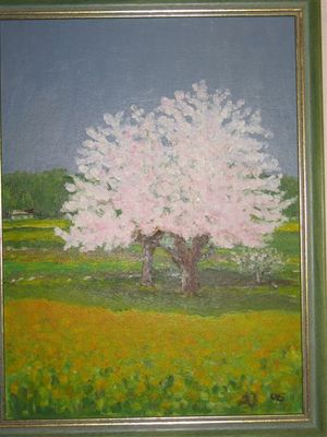 Kliknite za ogled večje slike