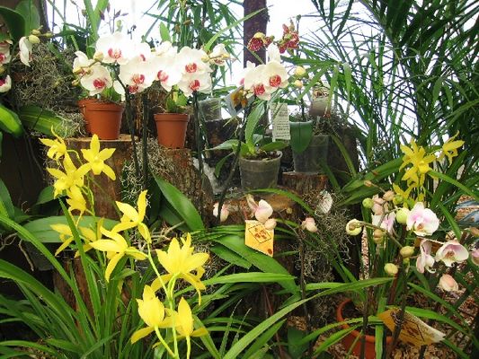 Kliknite za ogled večje slike