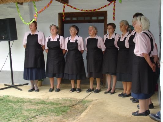 Kliknite za ogled večje slike