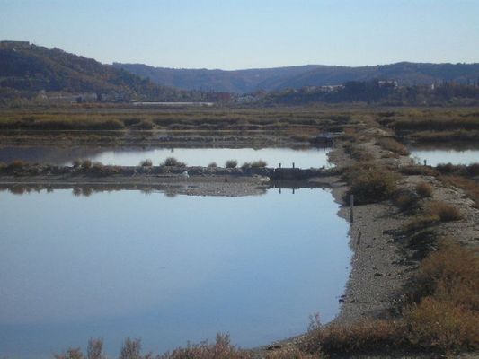 Kliknite za ogled večje slike