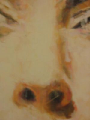 Kliknite za ogled večje slike