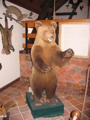 Kliknite za ogled večje slike