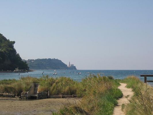 Kliknite za ogled večje slike