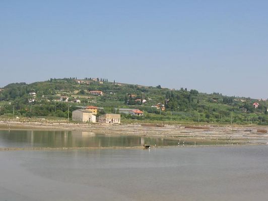 Kliknite za ogled večje slike