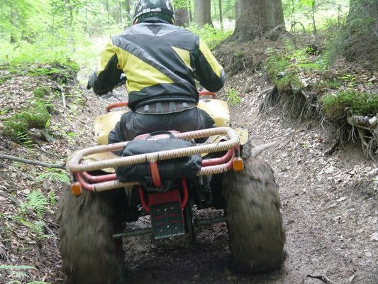 Kliknite za ogled večje slike