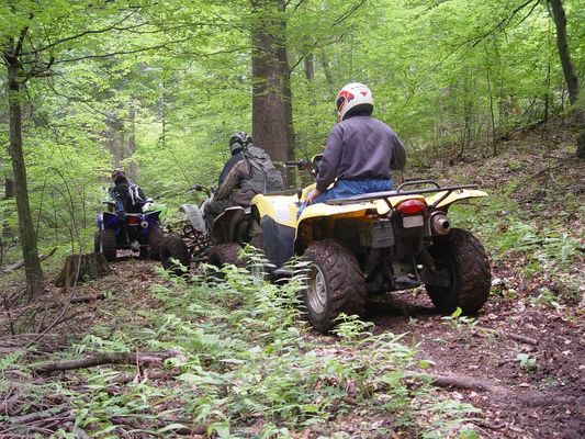 Kliknite za ogled večje slike