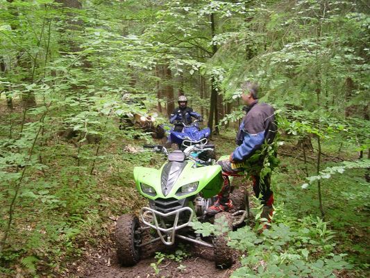 Kliknite za ogled večje slike