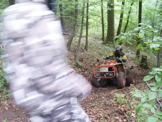 Kliknite za ogled večje slike