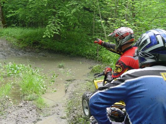 Kliknite za ogled večje slike