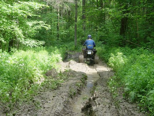 Kliknite za ogled večje slike