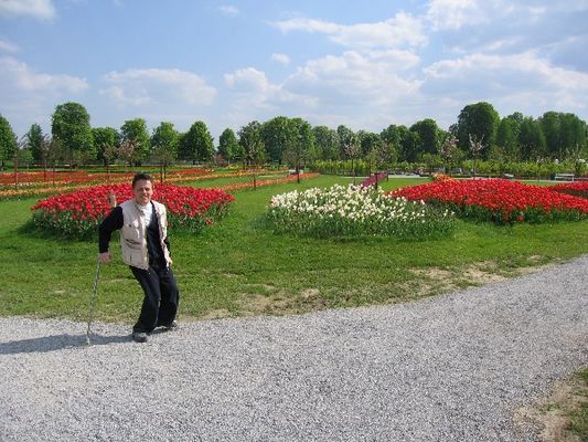 Kliknite za ogled večje slike