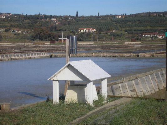 Kliknite za ogled večje slike