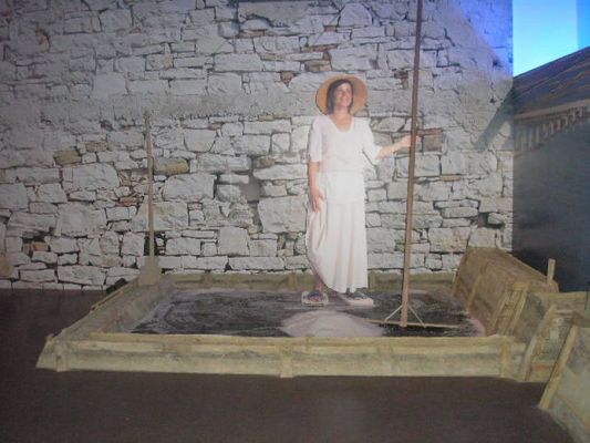 Kliknite za ogled večje slike