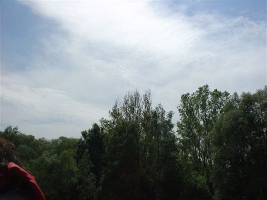 Kliknite za ogled večje slike