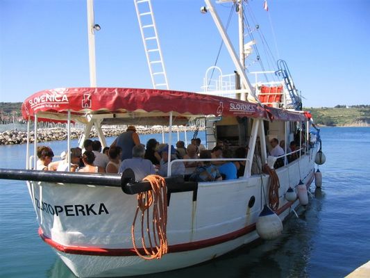 Kliknite za ogled večje slike