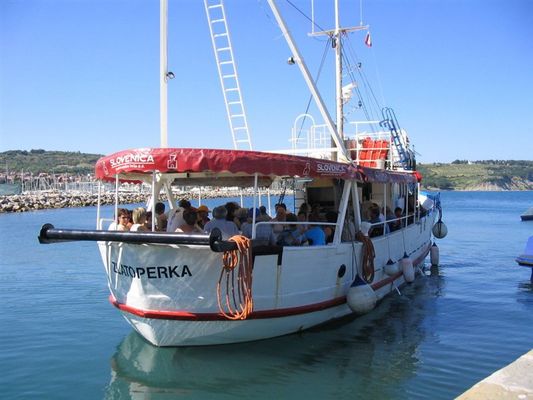 Kliknite za ogled večje slike