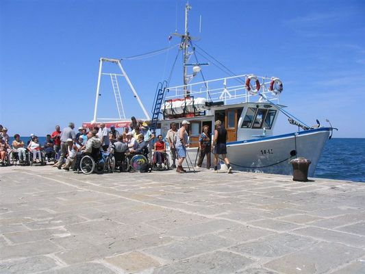 Kliknite za ogled večje slike