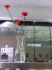 DSCN0634.JPG