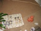 Picture 234~0.jpg